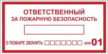 Наклейка 100х200мм "Ответственный за пожарную безопасность" B03  PROxima   EKF   арт. an-4-05 